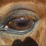 Profilbild von Wolter